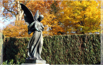 Melaten Cemetery in Cologne, Germany / Melatenfriedhof in Köln