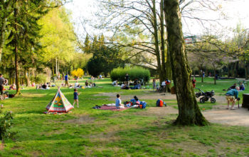 Sommerszene im Wohlerspark. Kinder spielen. Es wird gegrillt.