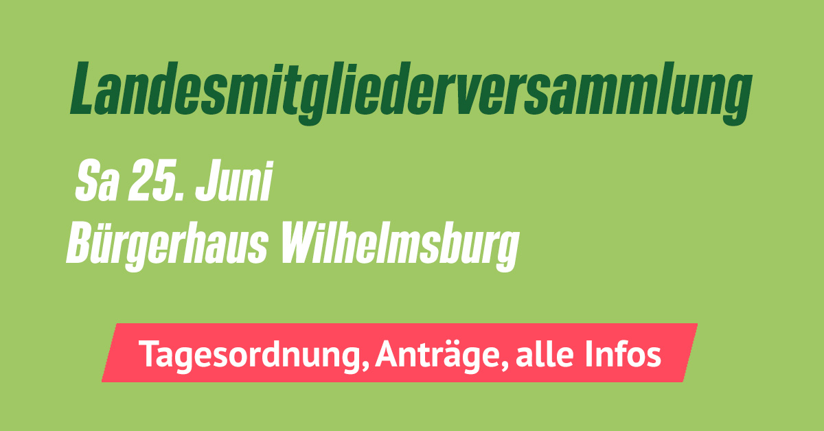 Landesmitgliederversammlung 25. Juni Wilhelmburg